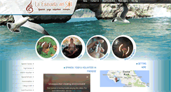 Desktop Screenshot of laescueladelsol.com